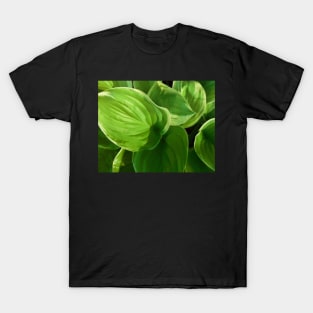 Hosta Summer Green T-Shirt